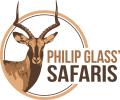 Safari Logo